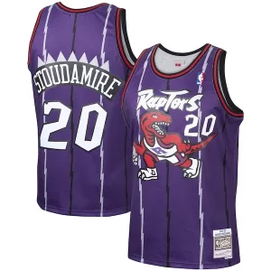 Elegante Moderno Damon Stoudamire Toronto Raptors 1995/96 Hardwood Classics Swingman Jersey Purple